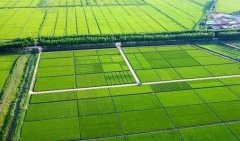 肥料含量檢測儀測量土地缺什么肥料的儀器