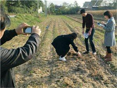 土壤檢測分析儀器