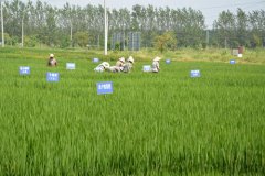 新型土壤分析儀測土壤和植物的養(yǎng)分